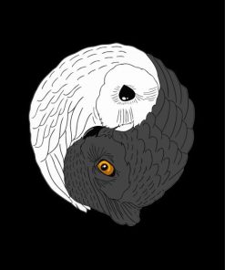 Birds Yin Yang Illustration Diamond Painting