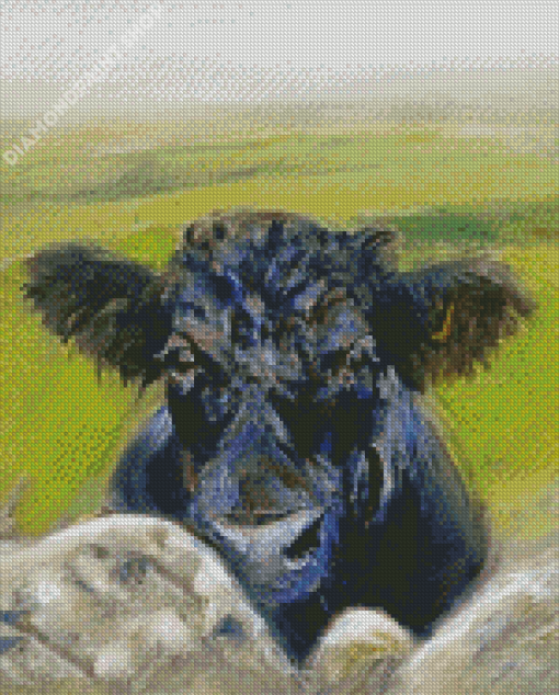 Black Cow Animal Diamond Painting