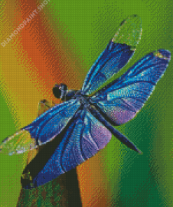 Blue Dragonfly Diamond Painting