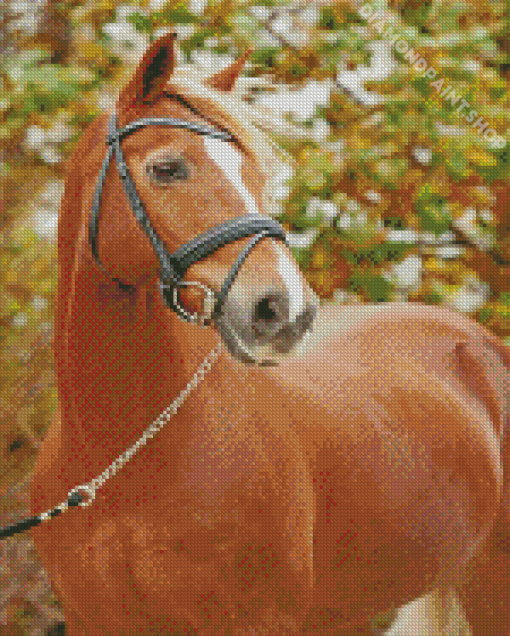 Brown Welsh Pony Diamond Painting