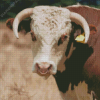 Bull with Horns Diamond Painting