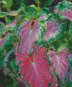 Caladium Colorful Plant Diamond Painting