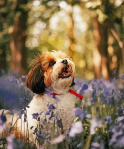 Cavachon And Flowers Diamond Painting