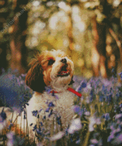 Cavachon And Flowers Diamond Painting