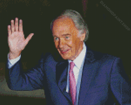 Ed Markey Diamond Painting