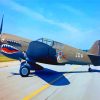 Grey P 40 Warhawk Diamond Paintings