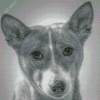 Black And White Basenji Diamond Painting