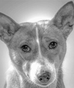 Black And White Basenji Diamond Painting