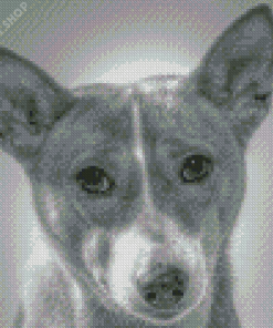 Black And White Basenji Diamond Painting