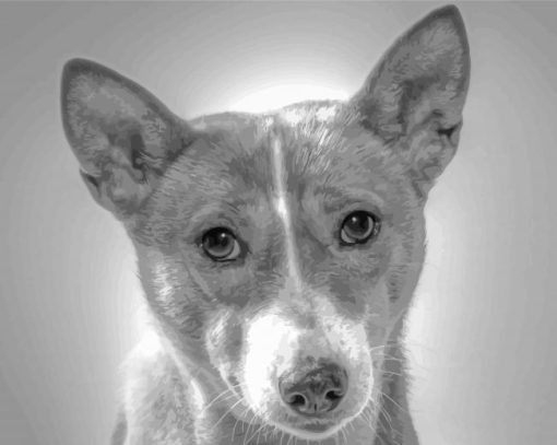 Black And White Basenji Diamond Painting