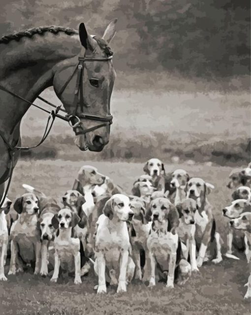 Black And White Horse And Hound Hunting Diamond Painting