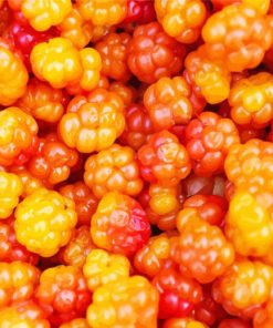 Cloudberries Food Diamond Painting