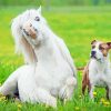 Cute Dog And Horse Diamond Painting