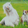 Cute Dog And Horse Diamond Painting