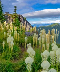 Beargrass Plants Meadow Diamond Painting