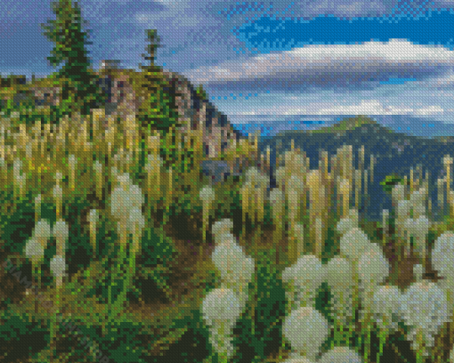 Beargrass Plants Meadow Diamond Painting