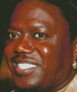 Bernie Mac Diamond Painting