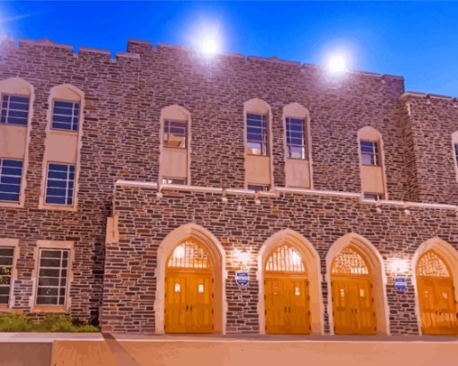 Cameron Indoor Stadium Building Diamond Painting