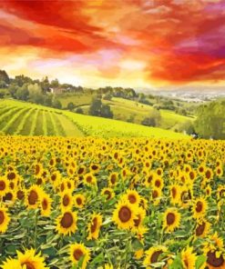 Italy Sunflowers Field Diamond Painting