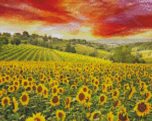 Italy Sunflowers Field Diamond Painting