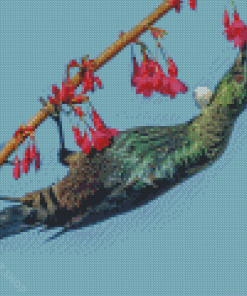 Tui Bird Eating Diamond Painting