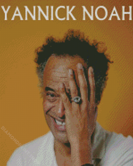 Yannick Noah Poster Diamond Painting