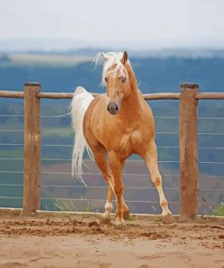 Aesthetic Palomino Horse Diamond Painting