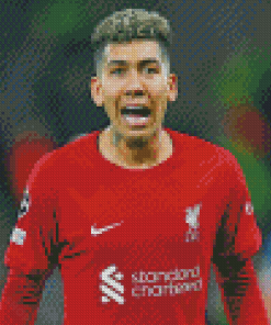 Aesthetic Roberto Firmino Diamond Painting