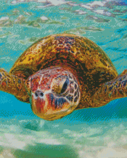 Cool Hawaii Turtle Diamond Painting