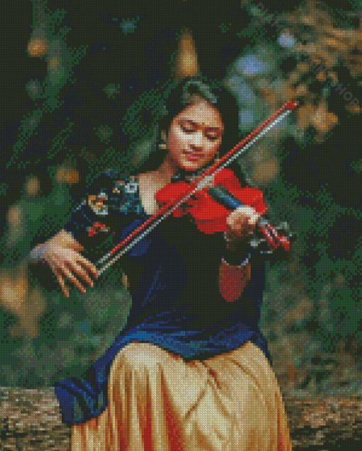 Indian Woman Posing Violin Diamond Painting