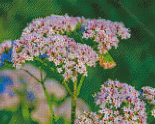 Valerian Plant Diamond Painting