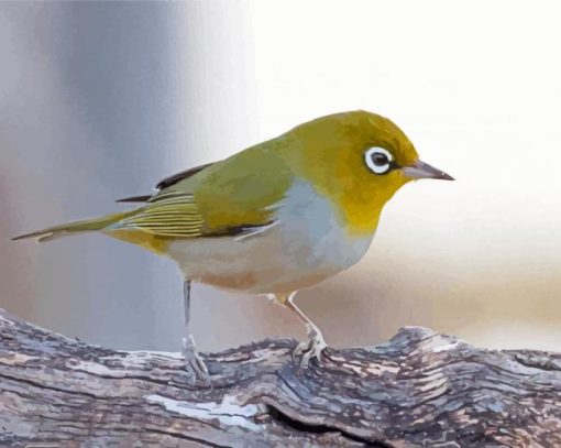 Aesthetic Silvereye Bird Diamond Painting