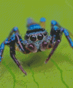 Blue Spider Diamond Painting