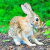 Brown Rabbit Near Green Leafed Diamond Painting