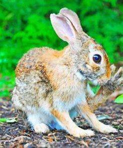 Brown Rabbit Near Green Leafed Diamond Painting