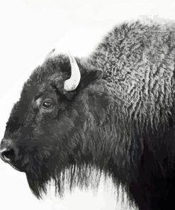 Buffalo Black And White Animal Diamond Painting