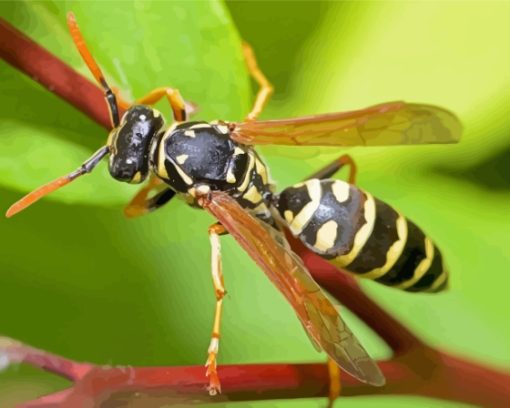 Close Up Yellow Jacket Wasp Diamond Painting