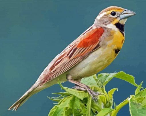 Dickcissel Bird Diamond Painting