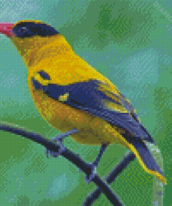 Old World Orioles Diamond Painting