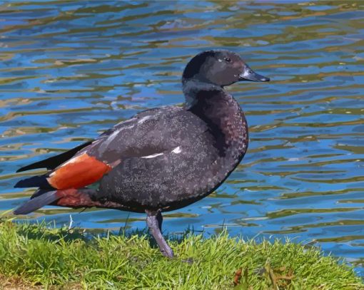 Paradise Shelduck Diamond Painting