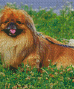 Pekingese Brown Dog Diamond Painting