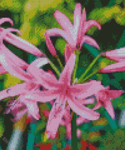 Pink Nerine Flowering Plants Diamond Painting