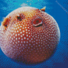 Puffer Fish Diamond Painting