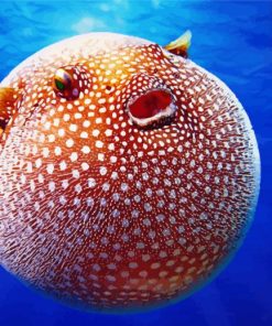 Puffer Fish Diamond Painting