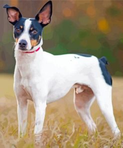 Rat Terriers Puppy Diamond Painting