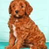 Red Golden Doodle Puppy Diamond Painting