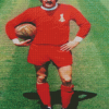 Steve Heighway Footballer Diamond Painting