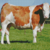 Swiss Simmental Cattle Diamond Painting