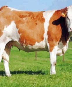 Swiss Simmental Cattle Diamond Painting