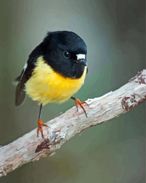 Tomtit Bird Diamond Painting